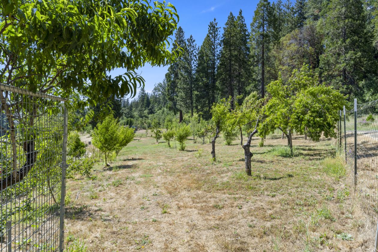 Beautiful Apple Hill Property - photo 24