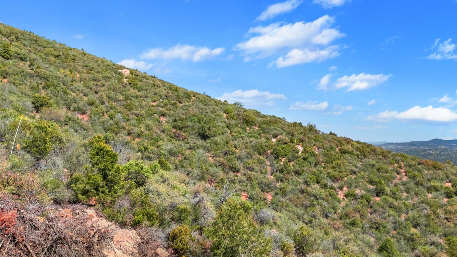 WHERE THE FOREST MEETS THE HORIZON - photo 15