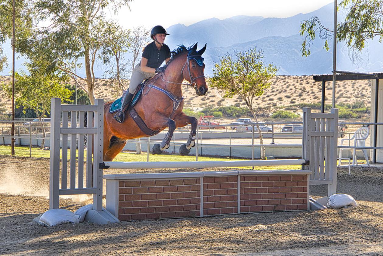 Equestrian Paradise Minutes from Palm Springs - photo 18