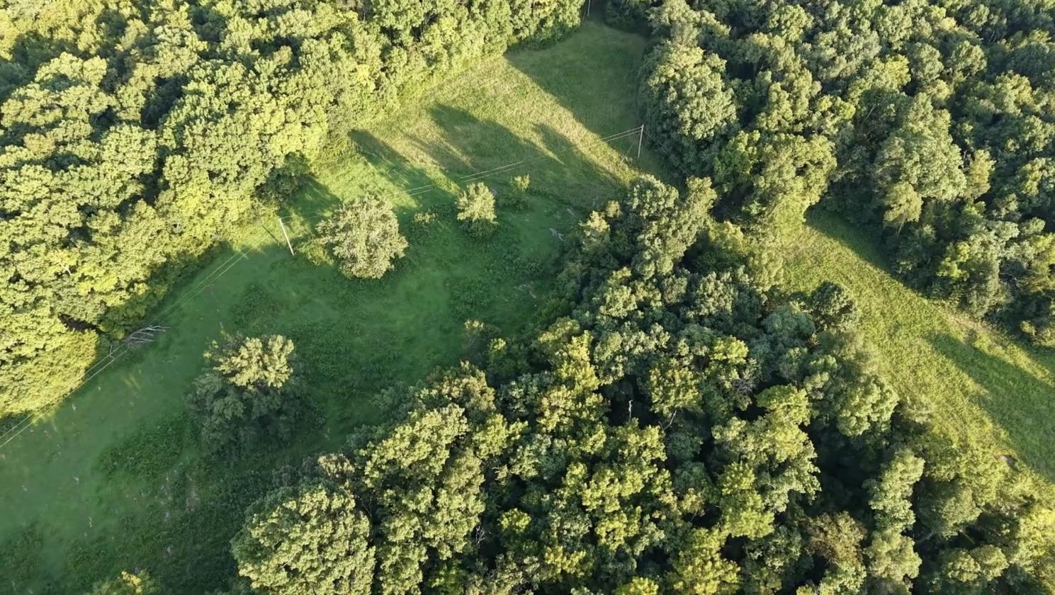 66 Acres S of NASHVILLE Barndo, Pasture & Timber - photo 7