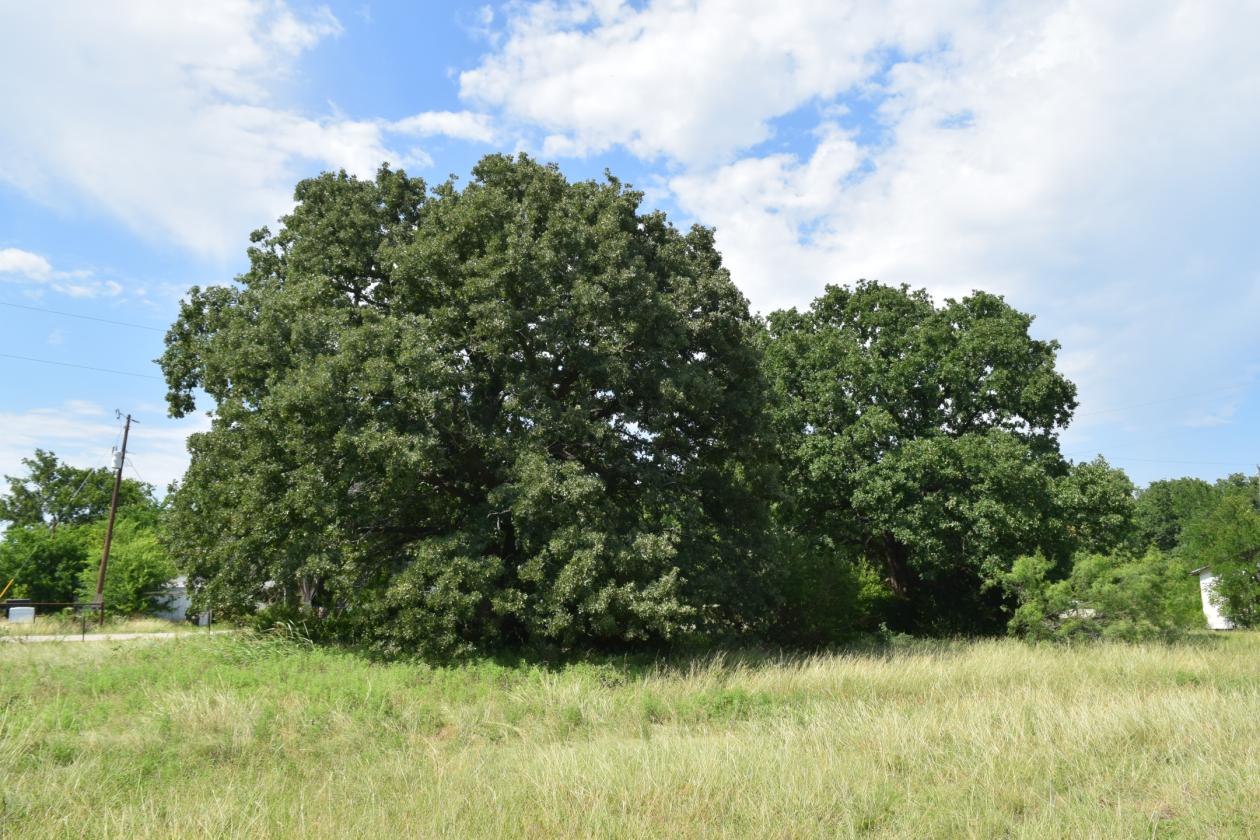 Motivated Seller- 17 acres Parker County - photo 8