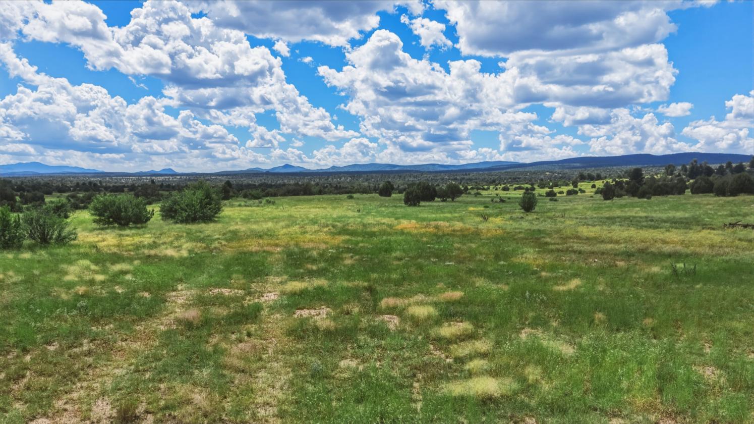 200 Acres in Yavapai County - photo 6