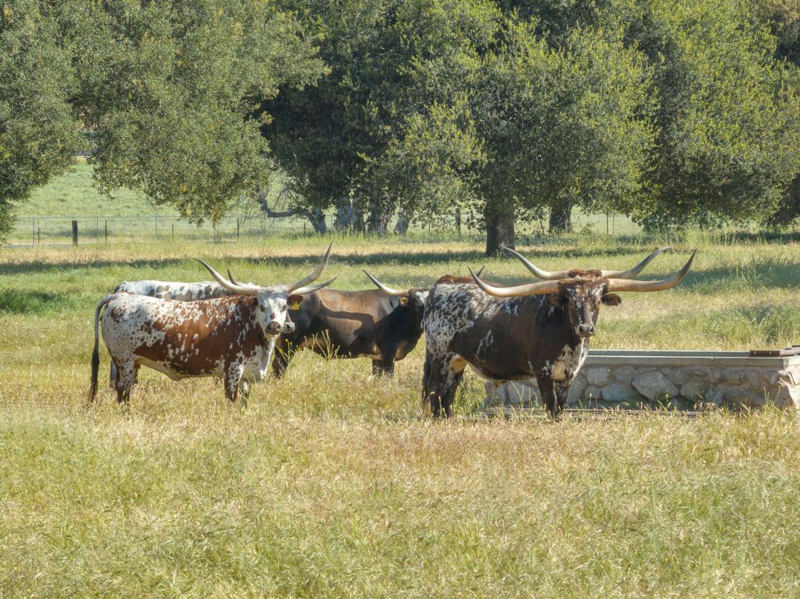 DOUBLE SEVEN ZERO RANCH - photo 16