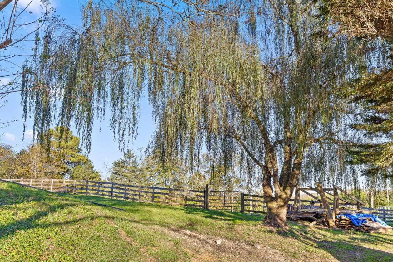 BEAUTIFUL HORSE FARMS WITH VIEWS - photo 4