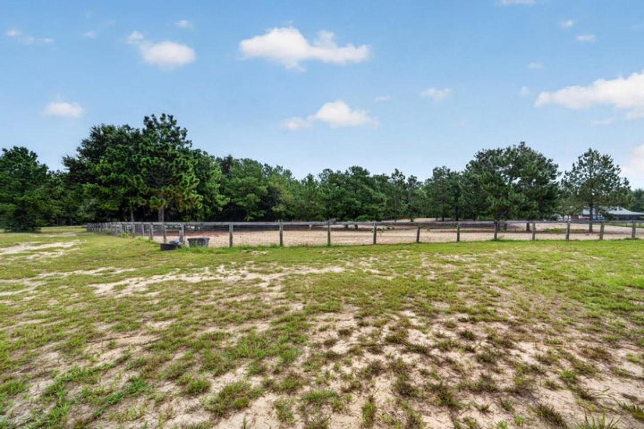 Custom Cottage on 10 Acres in Horse Country - photo 5
