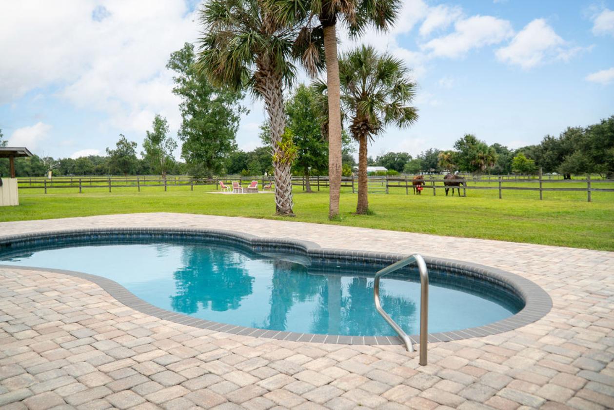 8 Acre Horse Property - photo 5