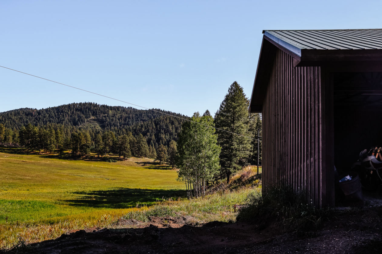 Liberty Ranch - photo 5