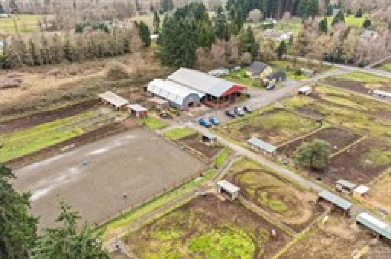 ESTABLISHED 10- ACRE EQUESTRIAN BOARDING OPERATION - photo 6