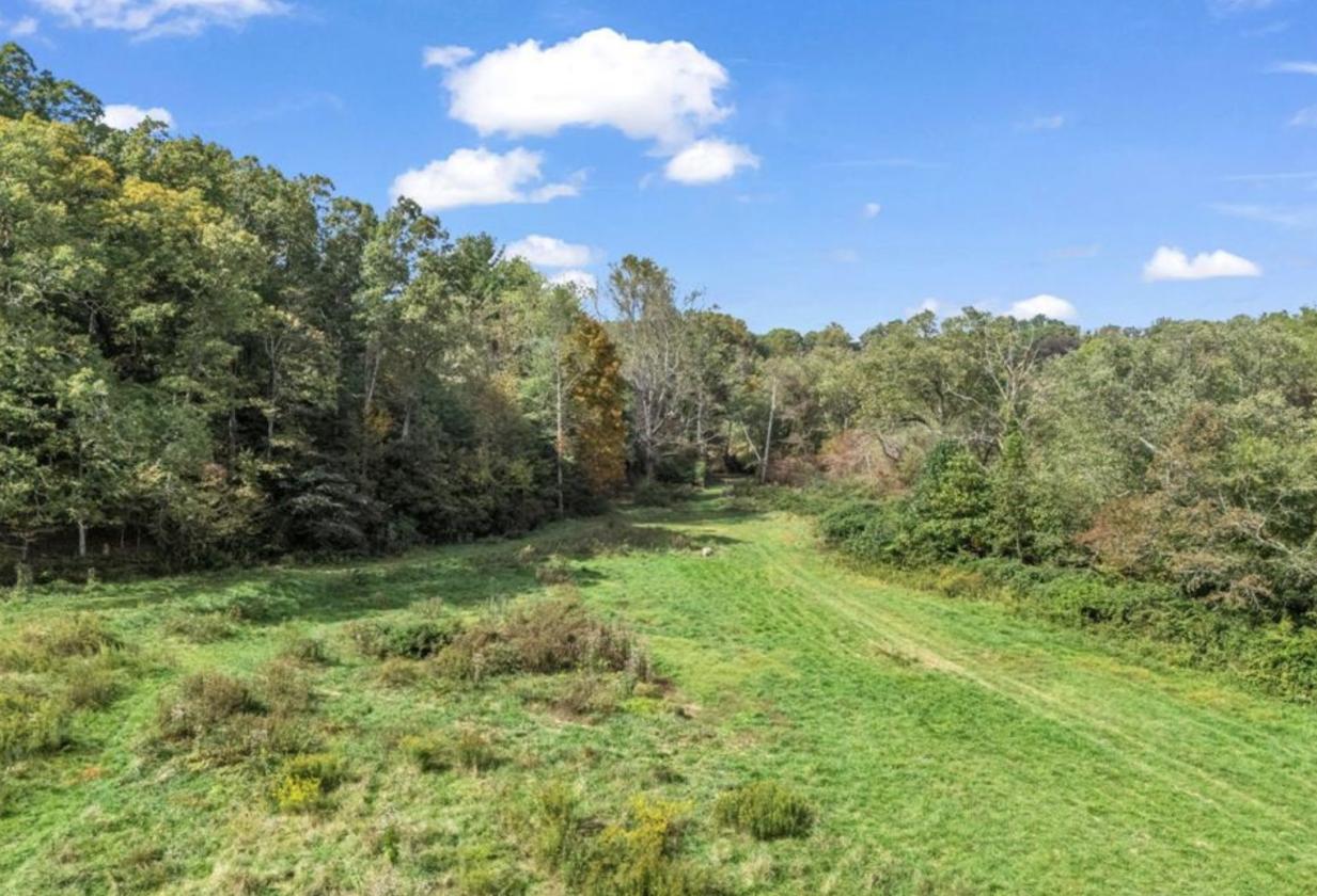 Nearly 50 Acres, Close to Asheville - photo 16