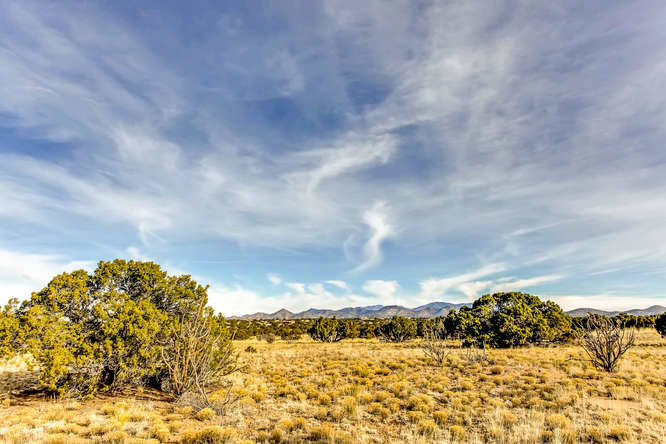 155 VIEW Acres - photo 25