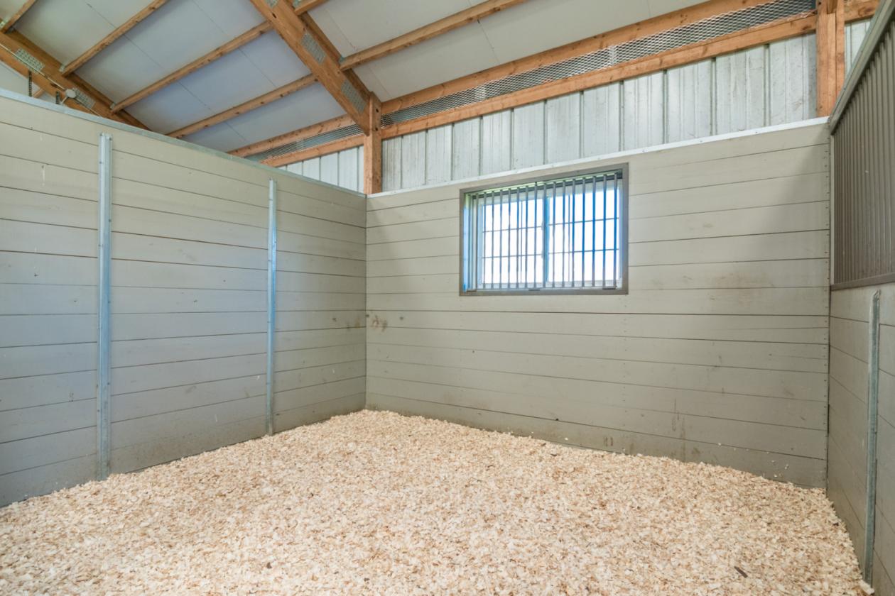 Goose Meadow Farm - photo 4