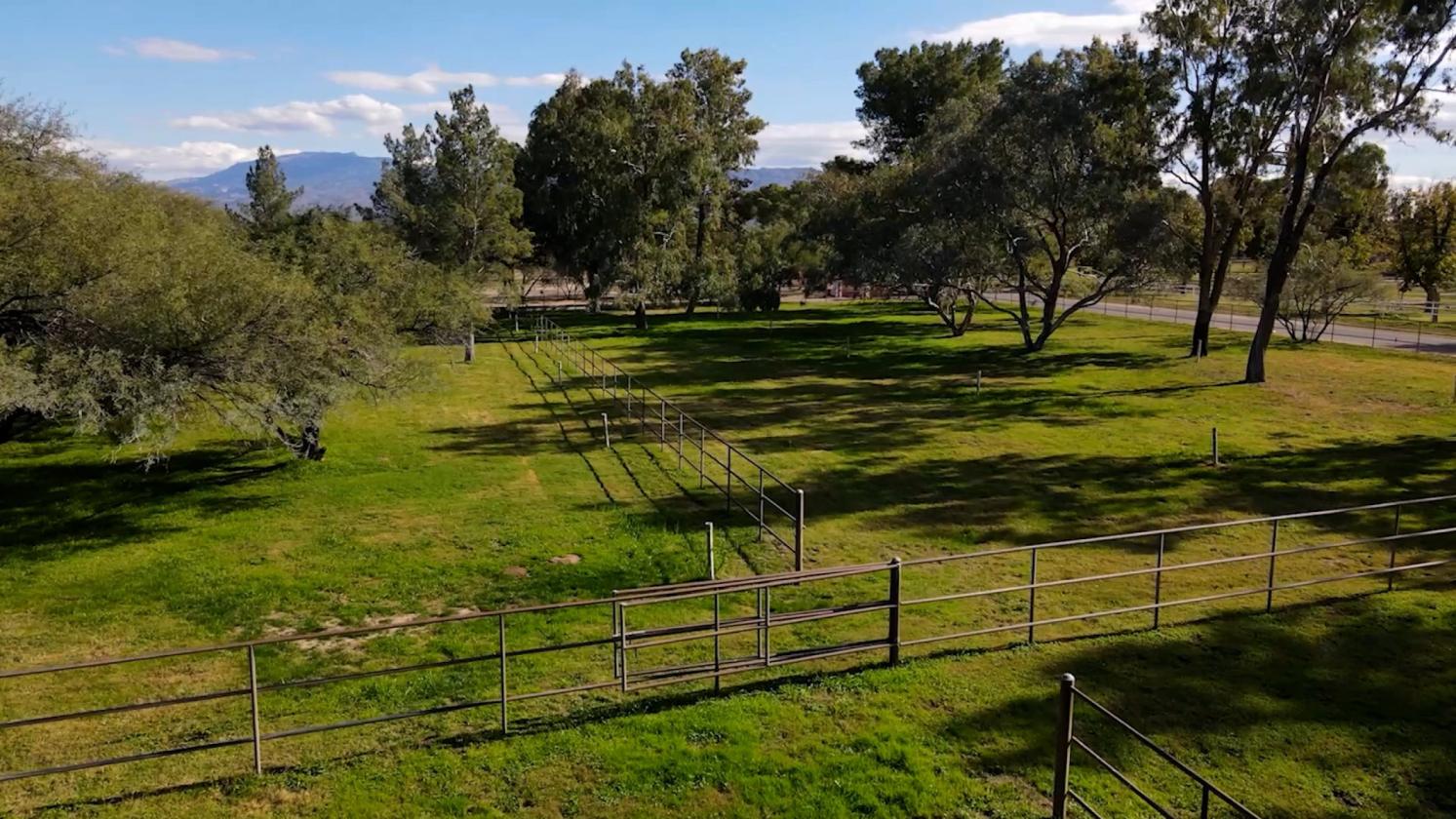 Elegant Custom Home with Grass Pastures - photo 5