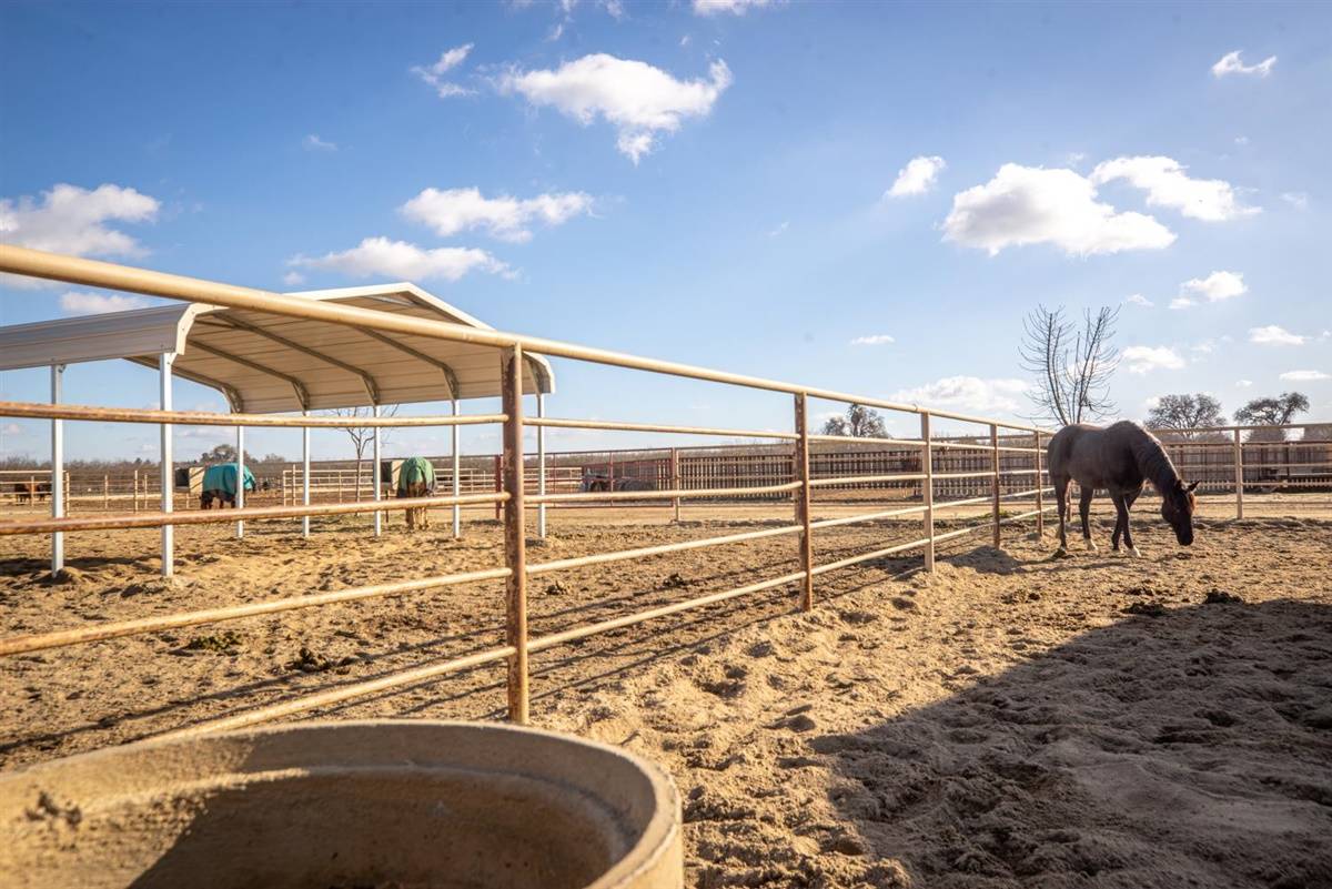 COUNTY PERMITTED HORSE TRAINING ACADEMY AND EVENT VENUE Lemoore