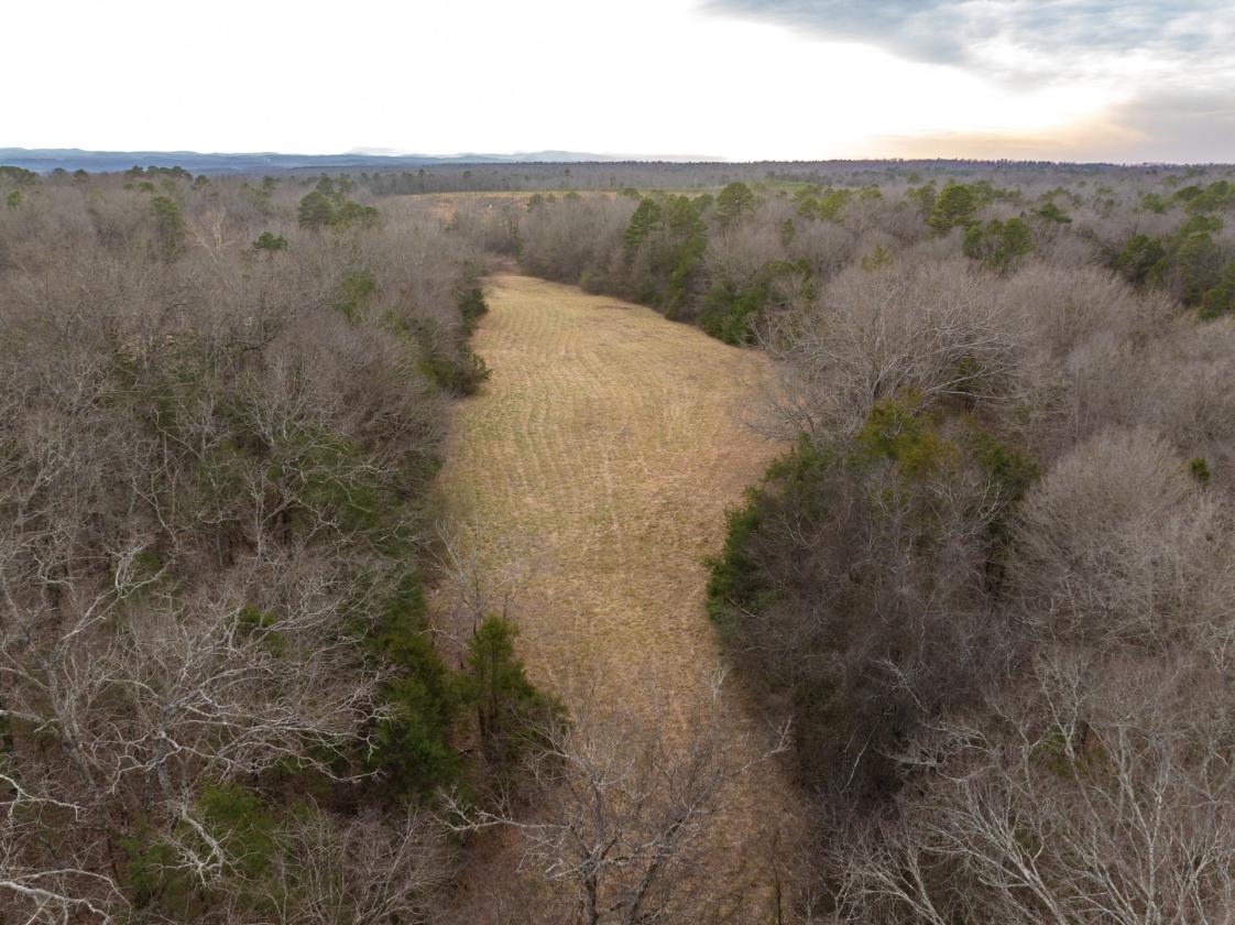 Home with 50 Acres & Ouachita Nat. Forest Access - photo 23