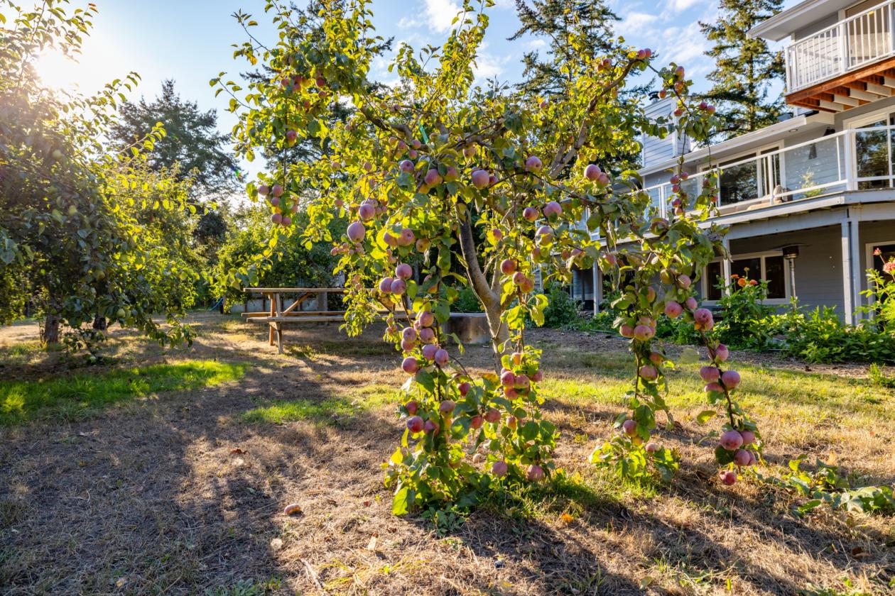 Beautifully Updated Acreage Estate - photo 27
