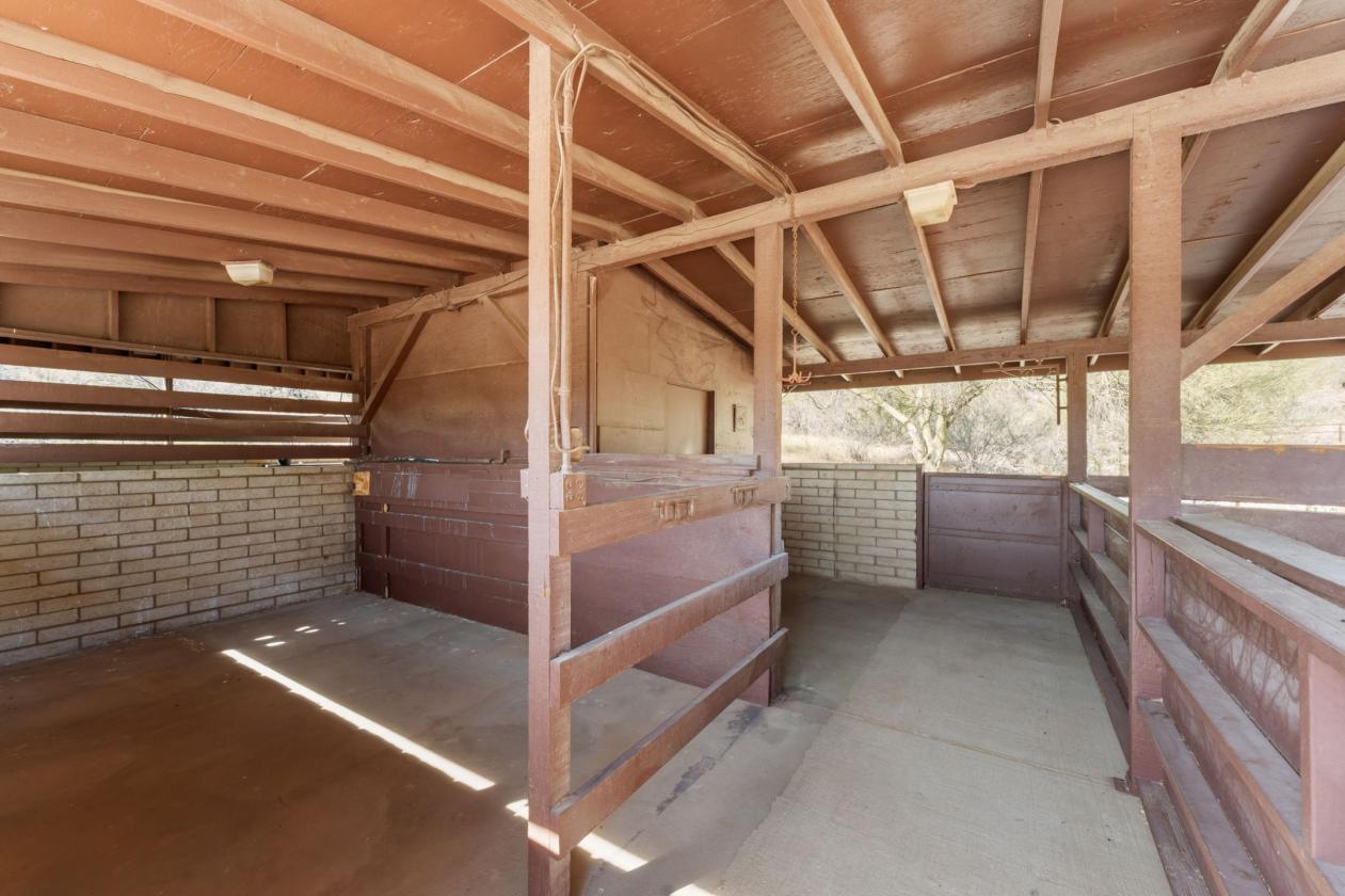 44+ Acres of Horse Country - photo 22