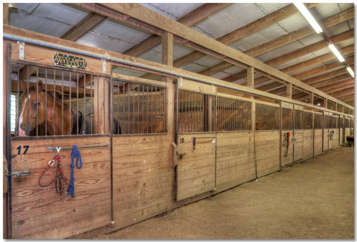 Ohio Horse Farm Wadsworth, Medina County, Ohio