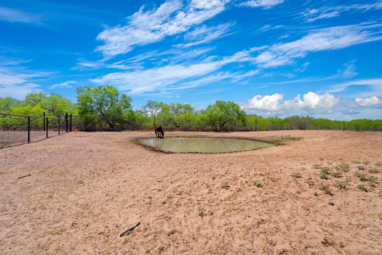 Turnkey Equine Property w/ Functional Improvements - photo 8