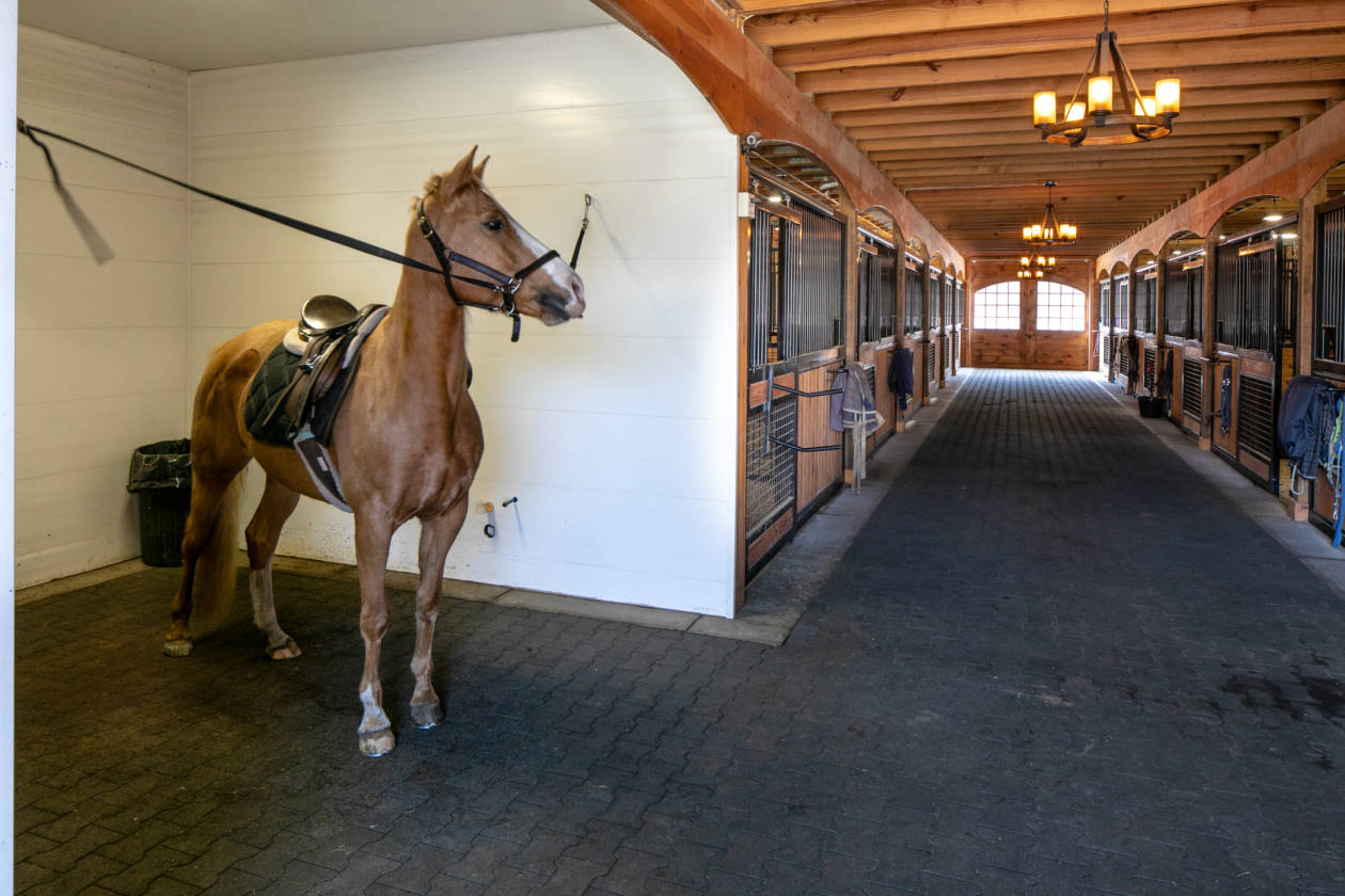 Coastal equestrian estate and 12 stable barn. Mattapoisett, Plymouth
