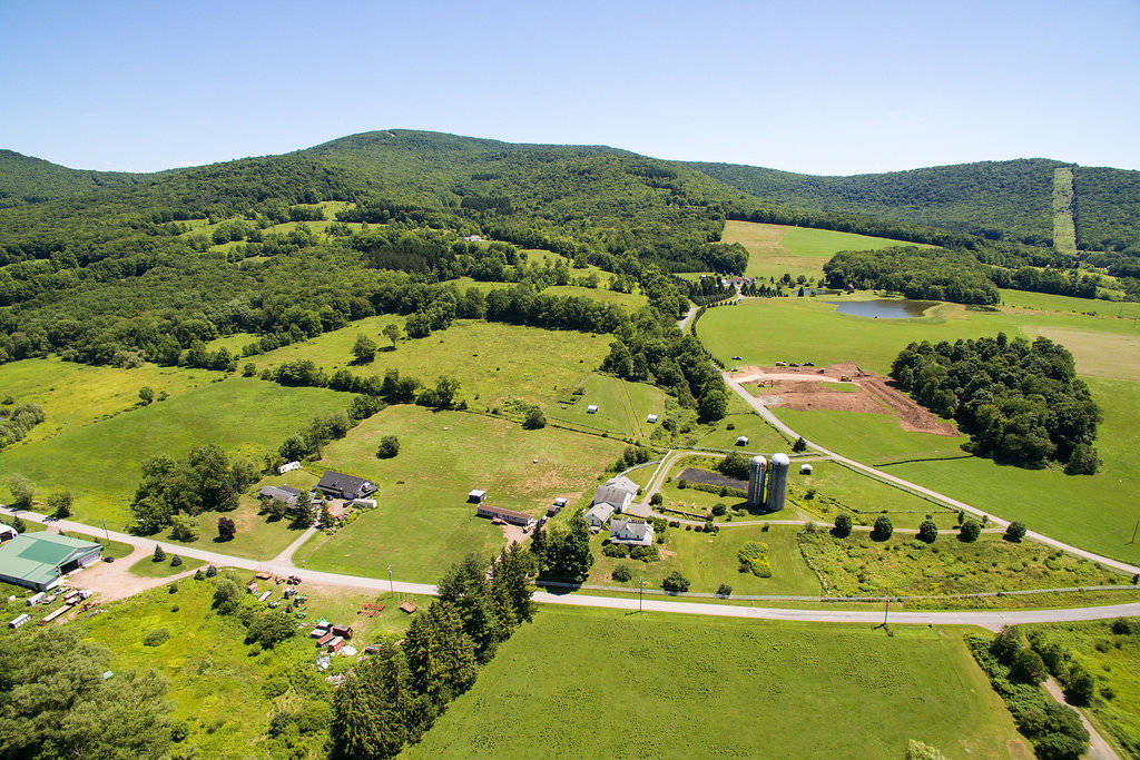 Horse Farm for sale Iconic Catskill Farmhouse Andes, Delaware