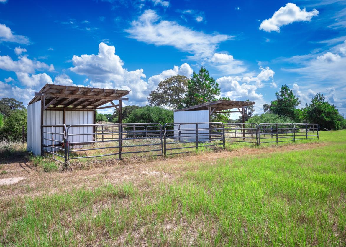 One-of-a-Kind Country Estate on 30 Acres - photo 26