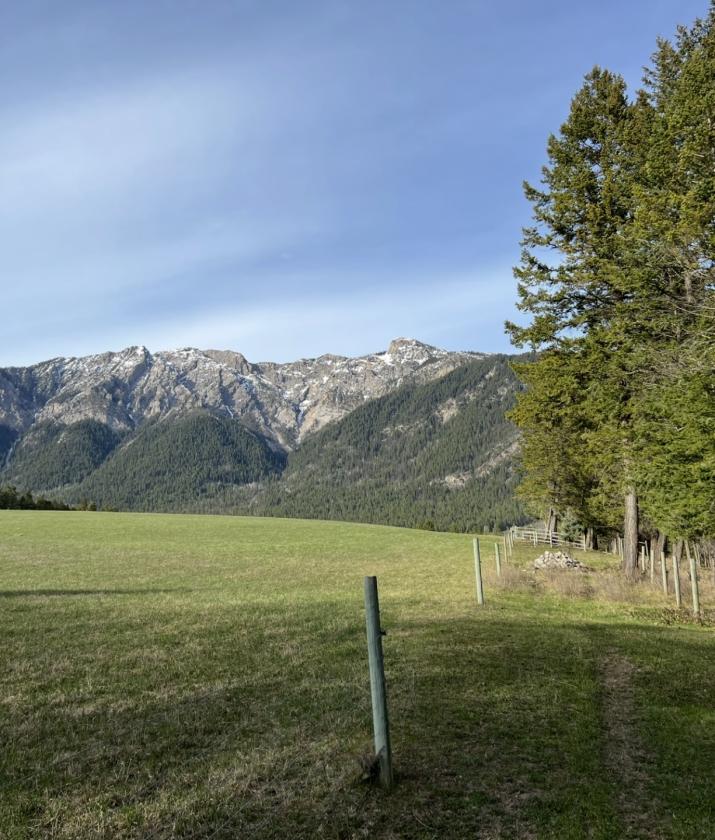 Horse Property in the heart of the Rockys - photo 7