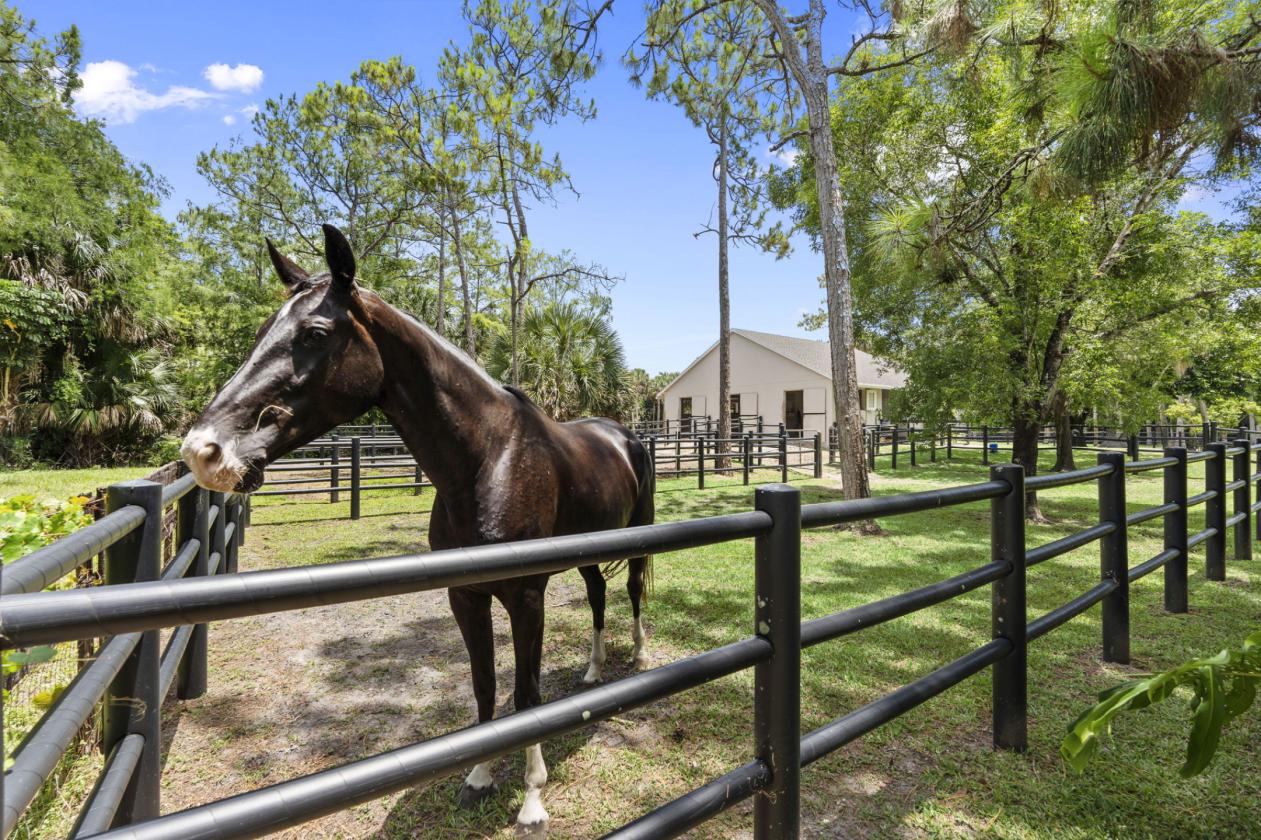 Luxury Equestrian Estate near Wellington - photo 7
