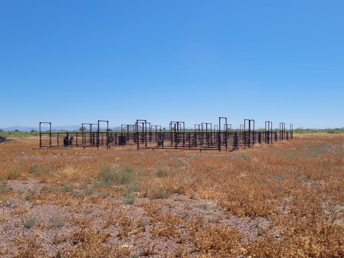 Eagle Eye - 10± Acres - photo 9
