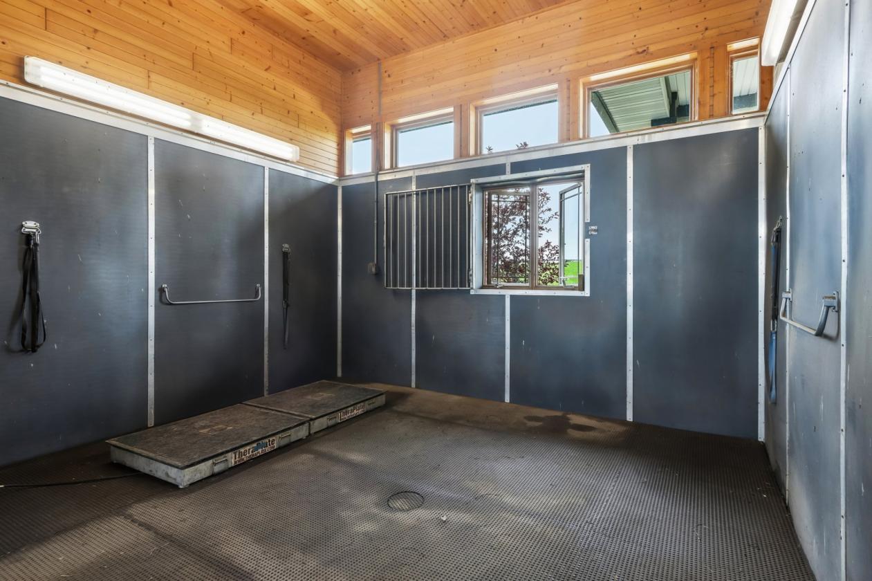 Luxury Equestrian center - photo 24