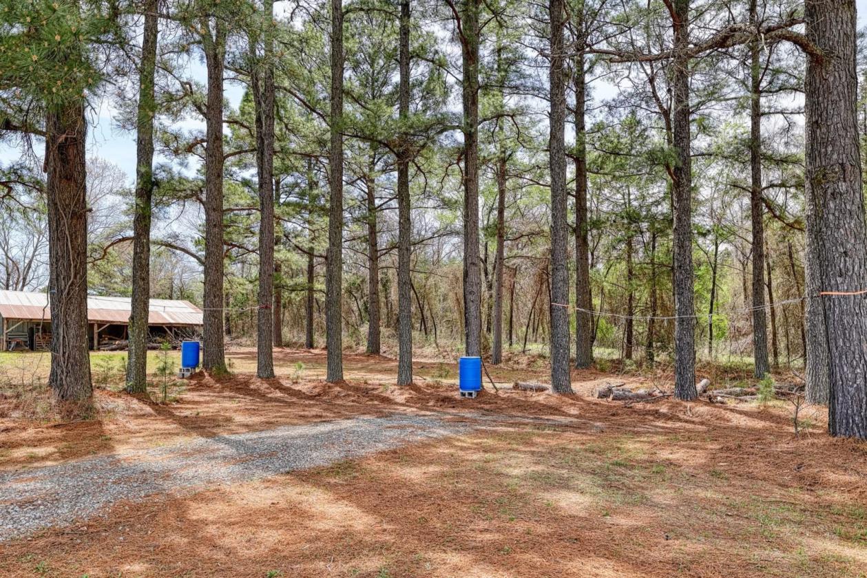 Income-Producing Equestrian Retreat - photo 16