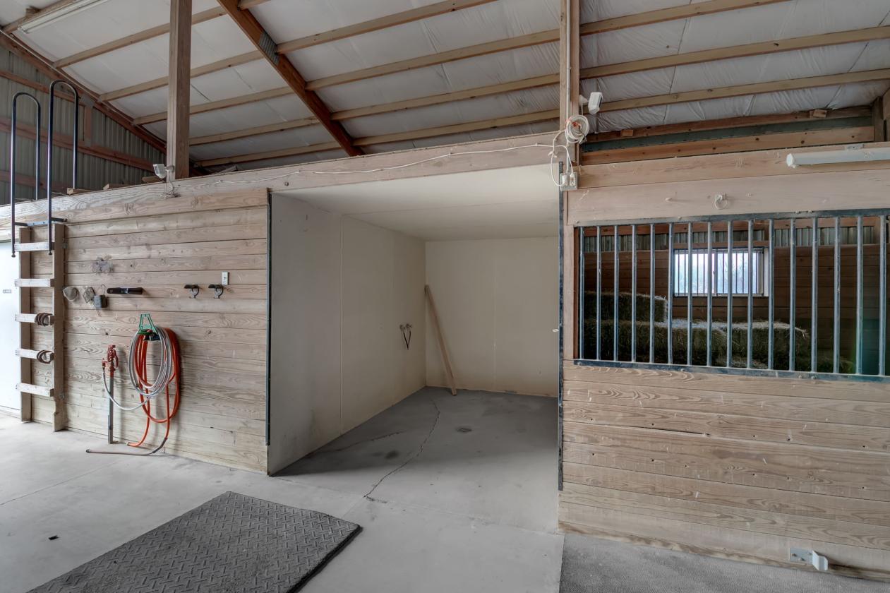 Double Mustang Ranch - photo 24