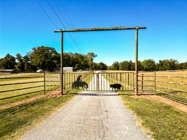 Property image.