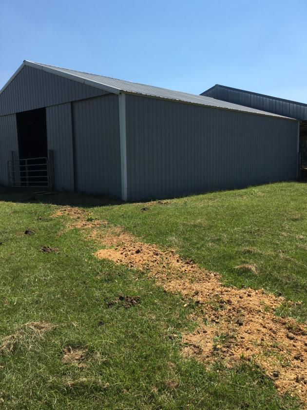 Beautiful Equestrian or Investment Farm 52 acres - photo 6