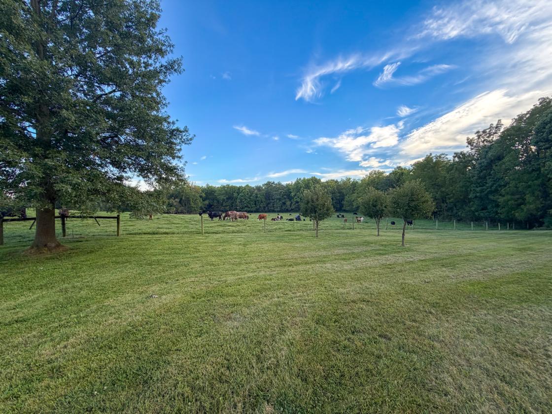 Beautiful Horse property nestled on 20 acres - photo 26