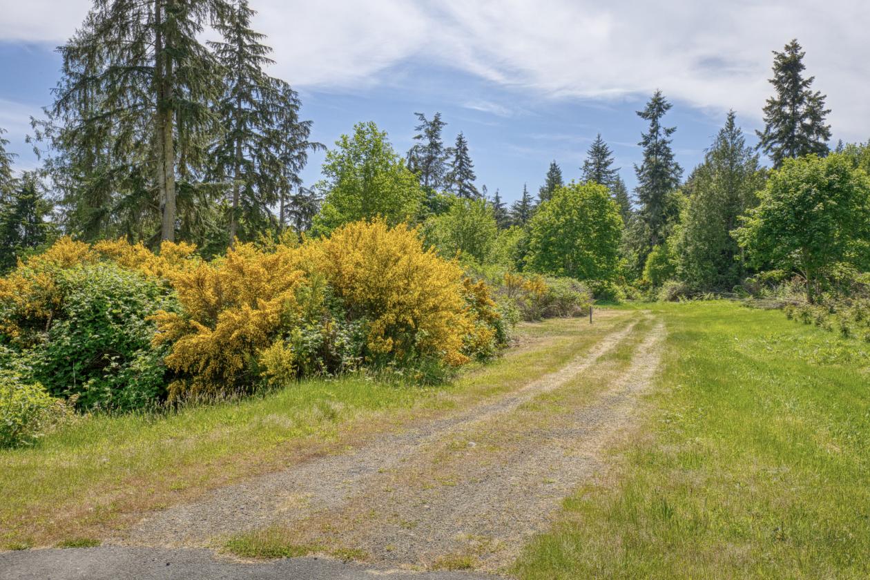 PNW Acreage with trails for Equestrians! - photo 8