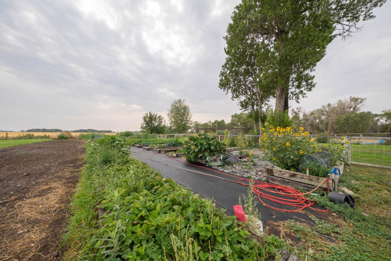 Private 40-acre Horse Ranch with Live Water - photo 28