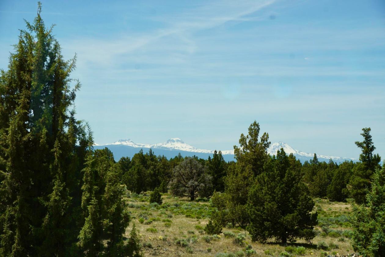 Private 40 Acre Equestrian Property - photo 29