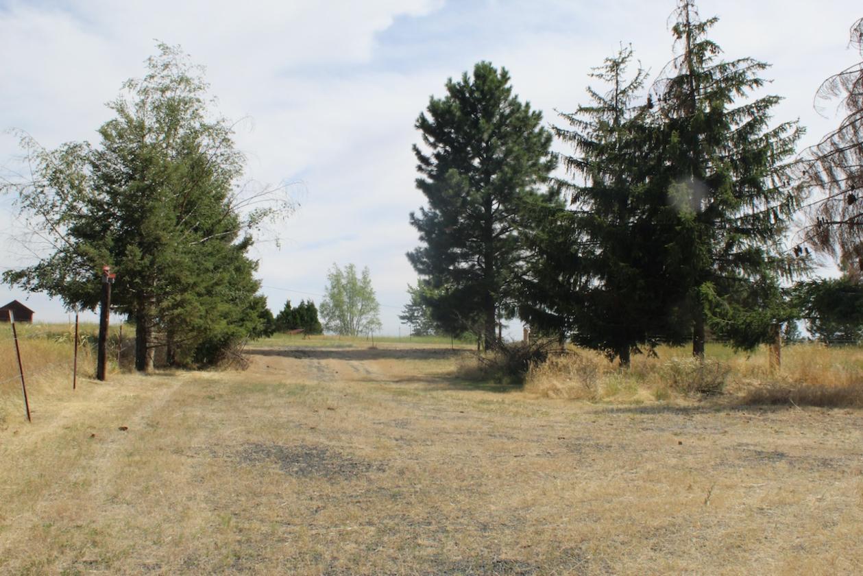 20 Acre horse property - photo 4