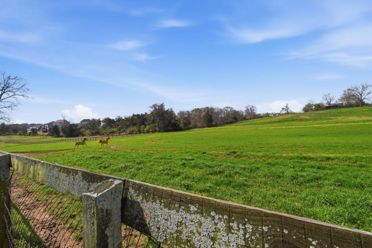 Premier 51± Acre Equestrian Opportunity - photo 24