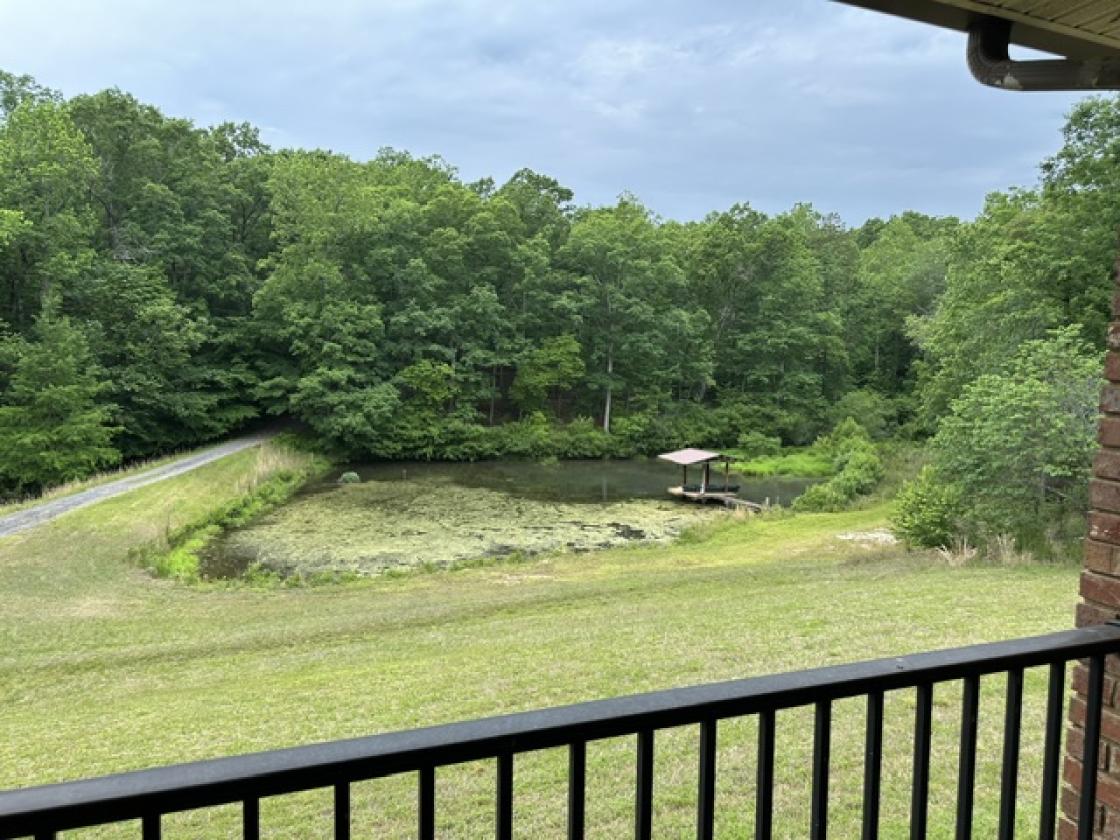 78.93 Acres Makes a Perfect Horse Farm Estate - photo 7