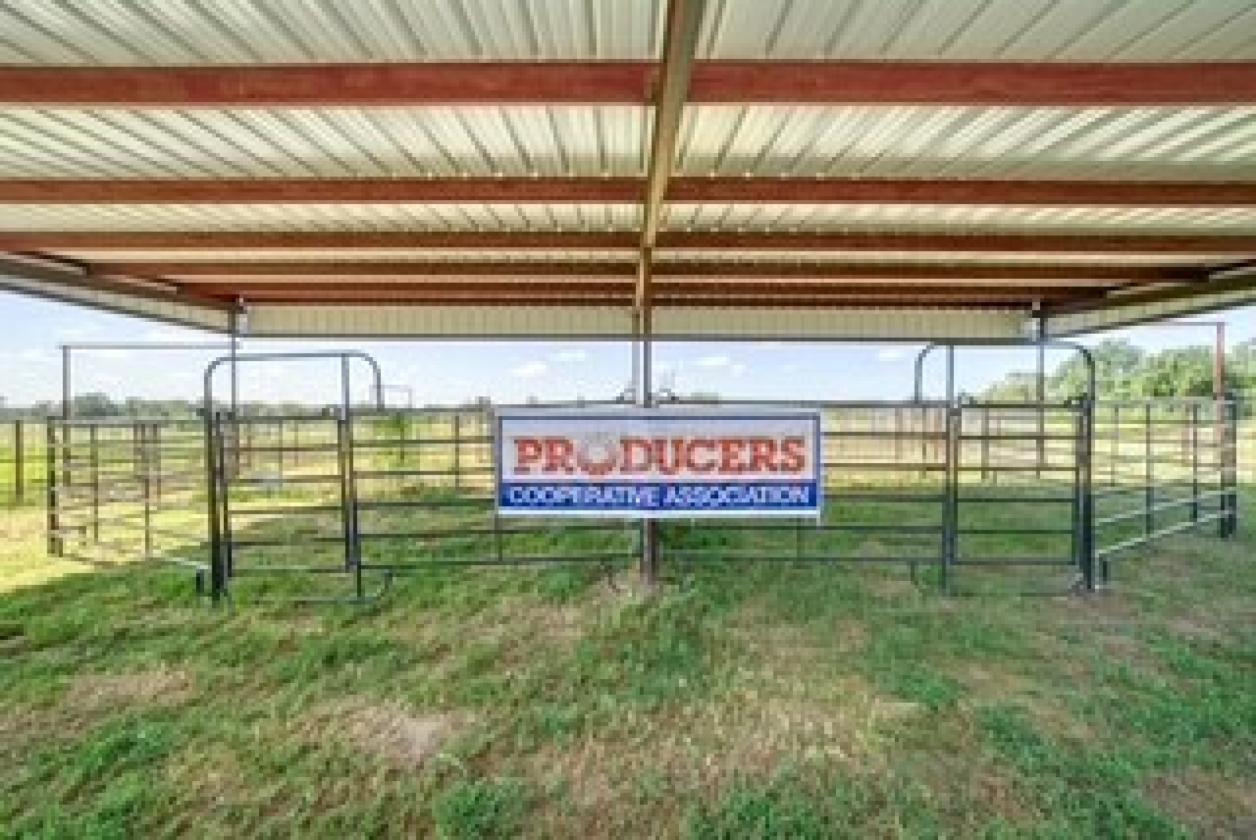 A Little Bit of Country, Whole Lot of Opportunity - photo 15