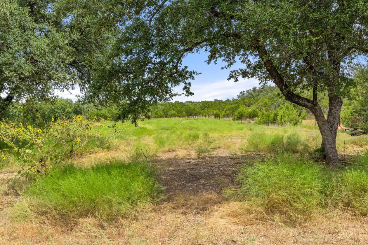 Palomino Ranch - photo 12