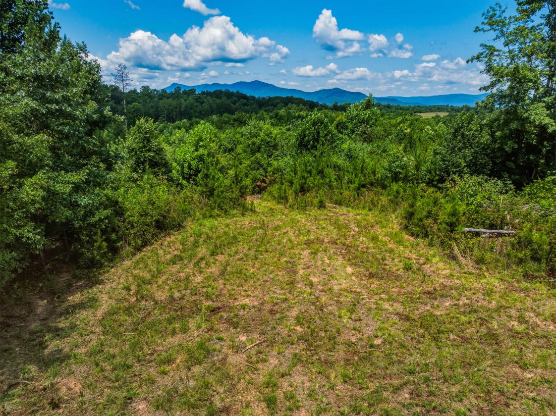 Loblolly Farm Tryon - photo 10