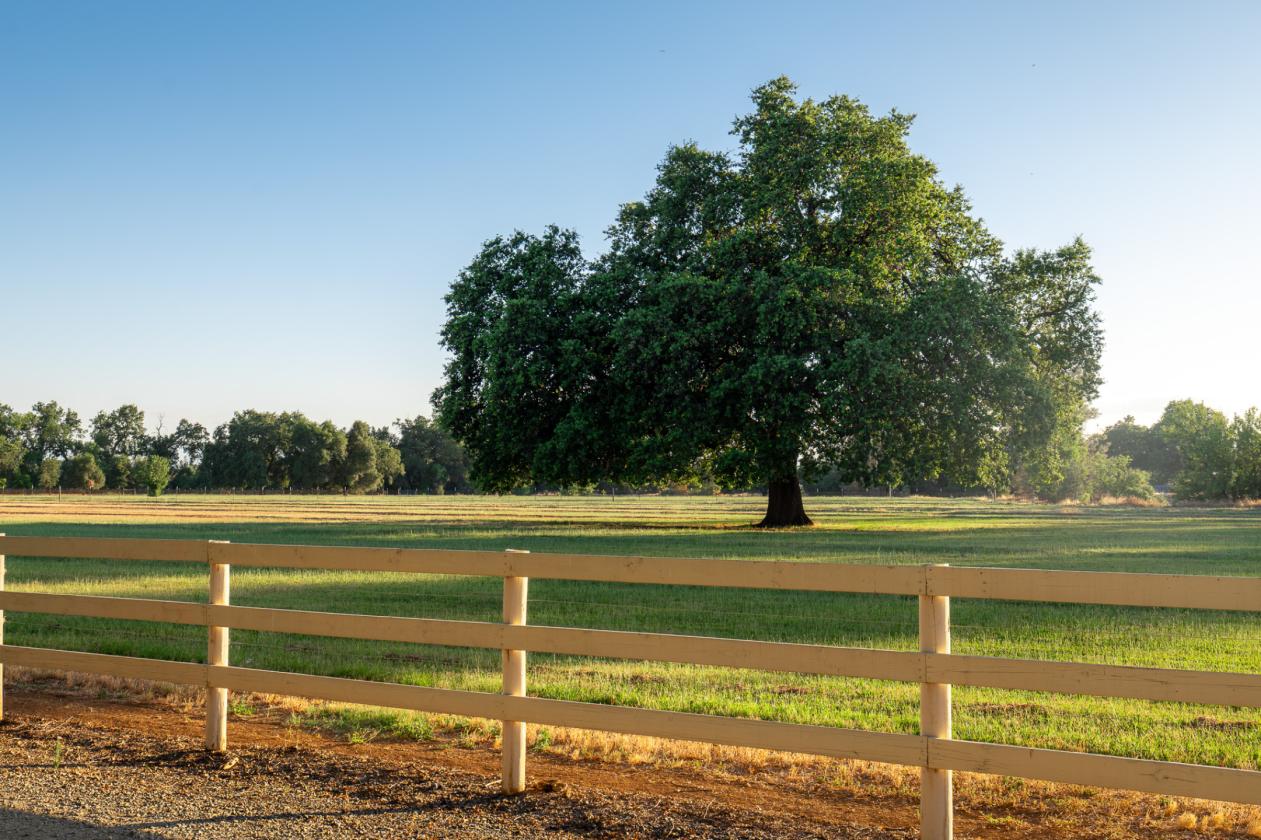 Well | Green Pastures | Barns | Arena |Gated |Oaks - photo 4