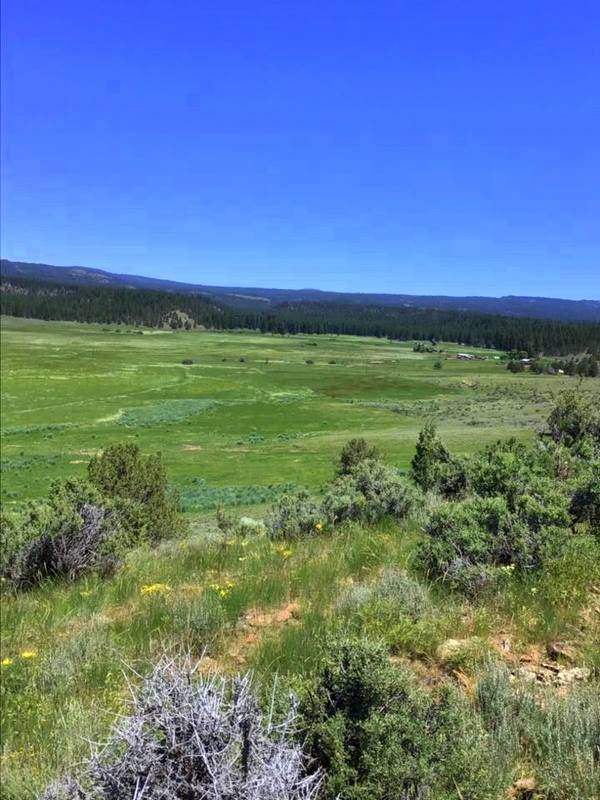 HISTORIC MILLER RANCH Paulina, Crook County, Oregon