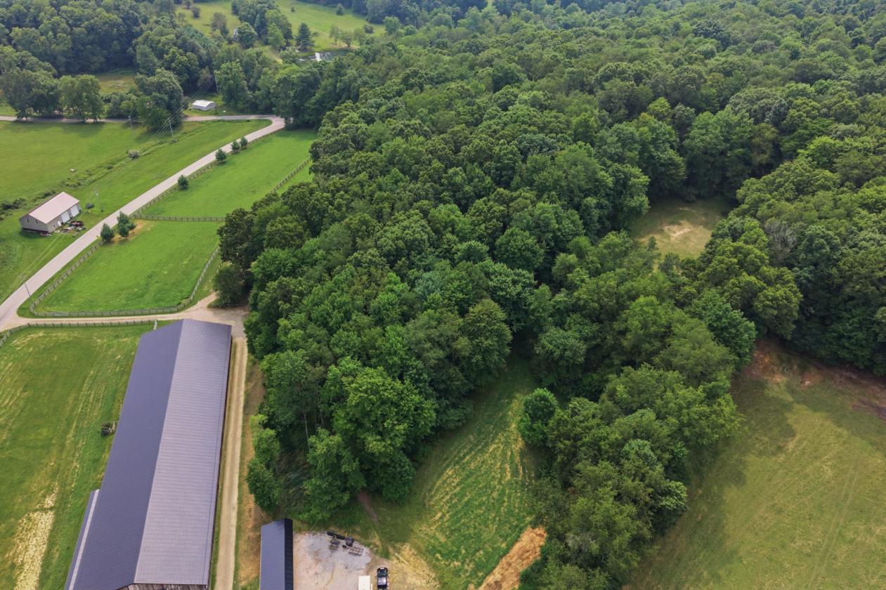 Exceptional Mohican Equine Estate Auction - photo 15