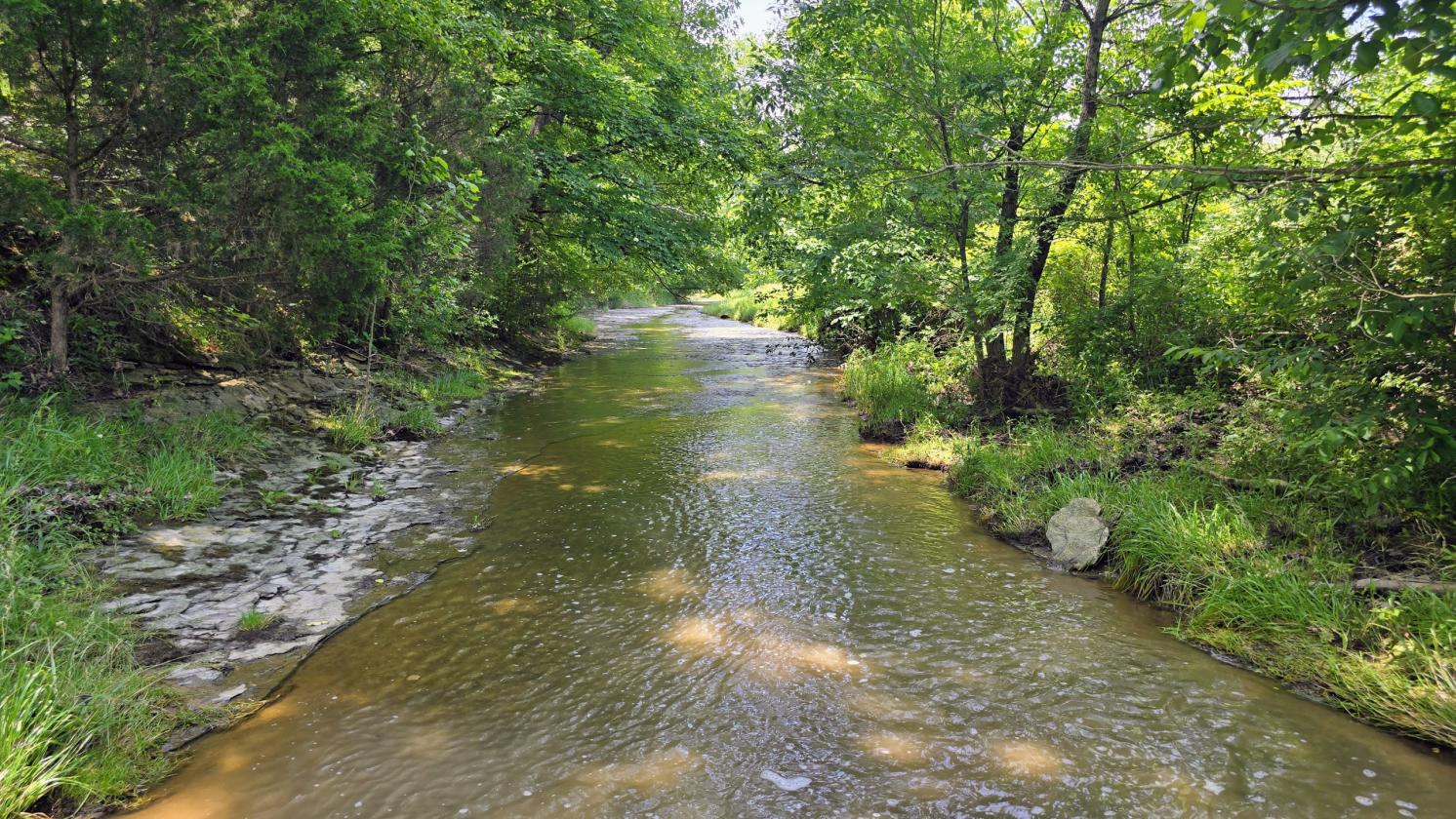 Large Farm Property With Water And Electric Onsite - photo 20