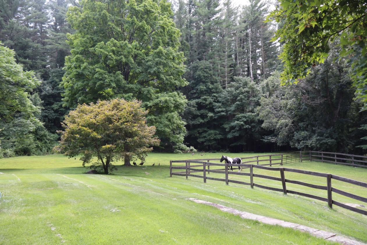 Horse property renovated home gorgeous river views - photo 3