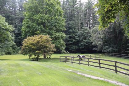 Property image.