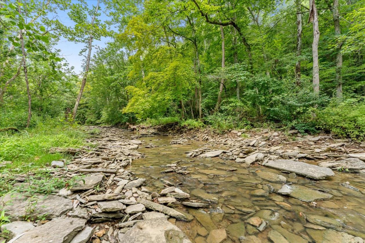 Over 173 acres for your equestrian dreams - photo 11